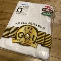 GUNZE 長ズボン下（前あき） Mサイズ