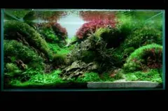 2026年最新】黄虎石の人気アイテム - メルカリ