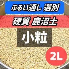 【硬質鹿沼土】　2L 多肉植物 塊根　 観葉植物　グラキリス　山野草のサムネイル