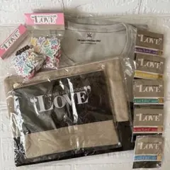 ARASHI Live Tour 2013 まとめ売り ライブグッズ 嵐