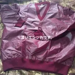 ナイロン Vネックジャケット L