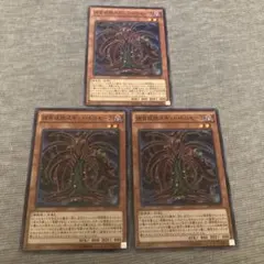 遊戯王 捕食植物スキッド・ドロセーラ 3枚セット