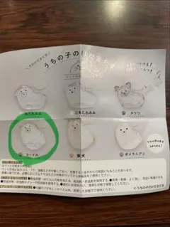 うちの子のけだまだま　プードル