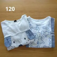 長袖カットソー 120cm 2枚セット