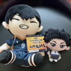 ハイキュー！！ぬいぐるみマスコットセット