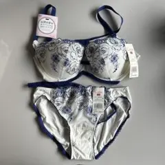 【定価43%オフ】Wacoal Wing E70ブラＬショーツセット