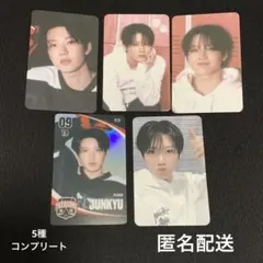 TEAM TREASURE ジュンギュ ランダムトレカ MD コンプ