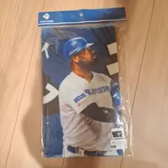 北海道日本ハムファイターズ　レイエス　タオル　エェーーグイホームラン