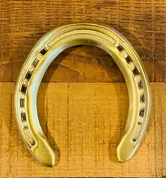 【幸運の金の蹄鉄】