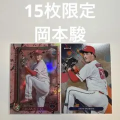 Item thumbnail for item 05095e0d-de84-4d08-9b50-d3c3213abd62