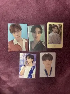 ディノ トレカ まとめ売り