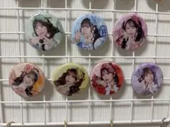 FRUITSZIPPER 缶バッジ