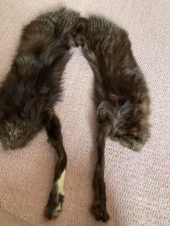毛皮 マフラー