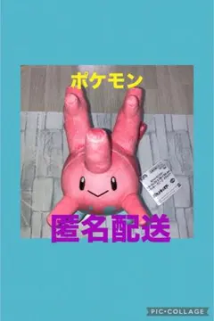 2025年最新】サニーゴ ぬいぐるみの人気アイテム - メルカリ