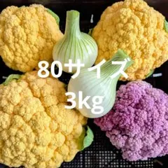新鮮カリフラワー4個（パープル1・オレンジ3)新玉ねぎ2個のセット♫農薬不使用！