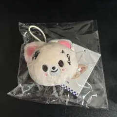 straykids アイエン KARMA popup ネームタグ 新品未開封