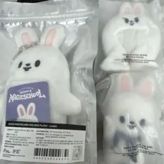 Stray Kids Leebit セット