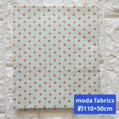 【廃番・レア】moda fabrics モダ USAコットン生地 小花柄 花柄