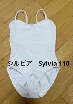 Item thumbnail for item a8277ec4-e8c9-4409-825e-bb72900b911c