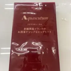 オトナミューズ 付録