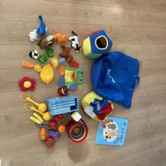 ワールドファミリー　プレイアロング　おもちゃセット 動物フィギュア