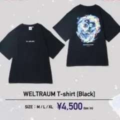 2025年最新】mrs.green Apple tシャツ ゼンジン未到 mの人気