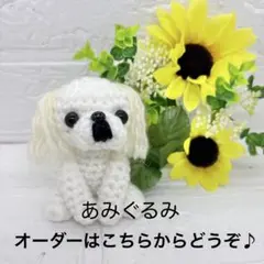 オーダー専用　ハンドメイド　犬　あみぐるみ