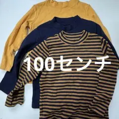 ハイネック 100