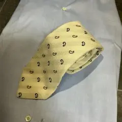 LUIGI BORRELLI ルイジボレッリ ペイズリー柄ネクタイ