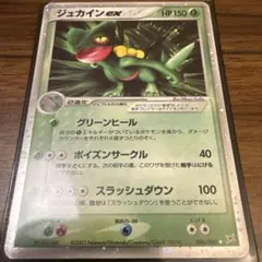 2026年最新】ジュカインex δの人気アイテム - メルカリ