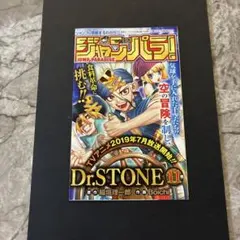 スプリガン　小学館ビデオ　VHS スプリガン 小学館ビデオ VHS - メルカリ