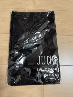 CNBLUE JUNG YONG HWA 1st CONCERT タオル