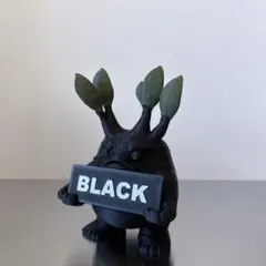 2026年最新】パキポディウム グラキリス 現地球の人気アイテム - メルカリ