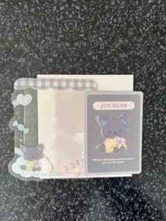 JOCHUM キャンディ 硬質カードケース ピーハイ 金城碧海