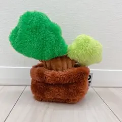 美品 TOFT サボテン ぬいぐるみ 3個セット [17cm] インテリア 2025年最新】TOFTサボテンの人気アイテム - メルカリ