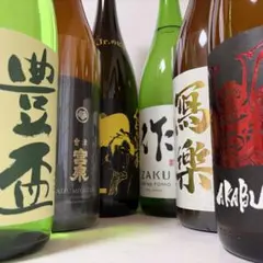 高級日本酒1升瓶10本セット2026年4月入荷分 - メルカリ