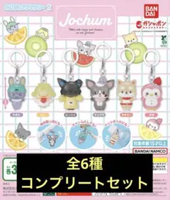 ジェオチャム めじるしアクセサリー2 全6種 コンプリートセット