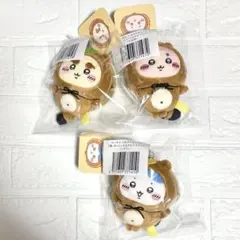 ちいかわ たぬきだもんくじ C賞:マスコット ハチワレ シーサー 古本屋