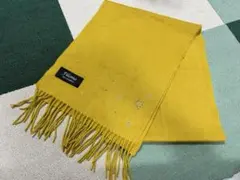 Item thumbnail for item 795295cf-f25c-47c7-ade5-a02b8834a4e0