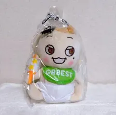 錦戸亮 ぬいぐるみ うちわ マジバン ペンライト 黄色テープ 錦戸亮 ぬいぐるみ うちわ マジバン ペンライト 黄色テープ 2025