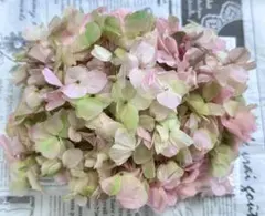 ꕤAira.ꕤ今年も宜しくお願い致します様 リクエスト 2点 まとめ商品