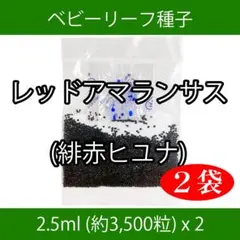 ベビーリーフ種子 B-38 レッドアマランサス(緋赤ヒユナ) 2.5mlx2袋のサムネイル