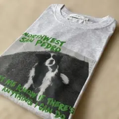 新品未使用　アメリカンホリック　Tシャツのサムネイル