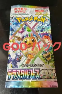 テラスタルフェス ブイズ