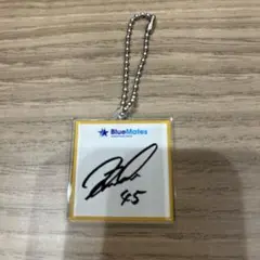 横浜Denaベイスターズファンクラブ限定サイン色紙風アクリルキーホルダー