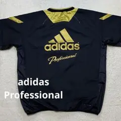 Item thumbnail for item 45171669-12d1-42e0-92f0-e61a882c1d5f