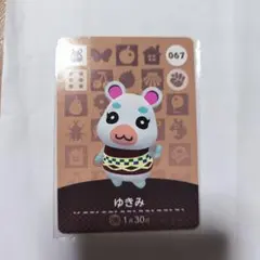 アミーボカード