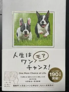 人生はワンモアチャンス! 「仕事」も「遊び」もさらに楽しくなる66の方法　美品