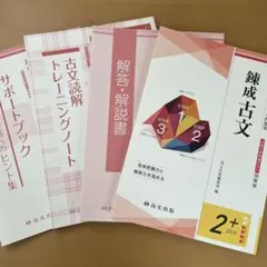 錬成古文　大学入試対策　3ステップ問題集