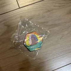 SAKAMOTO & SHIN マグマネット